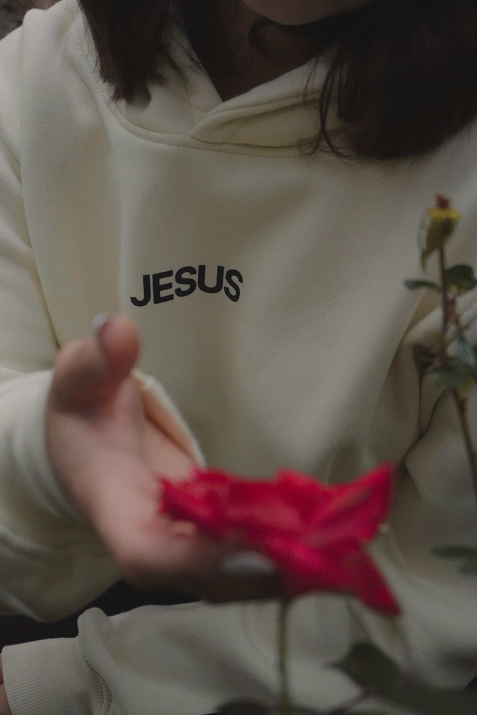 Jesus Changes Everything Hoodie — Bone